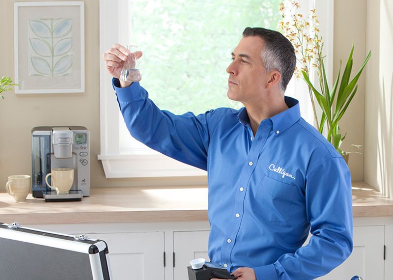 Culligan Water Consultant