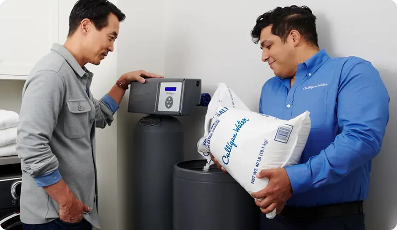 Whole home filtration system